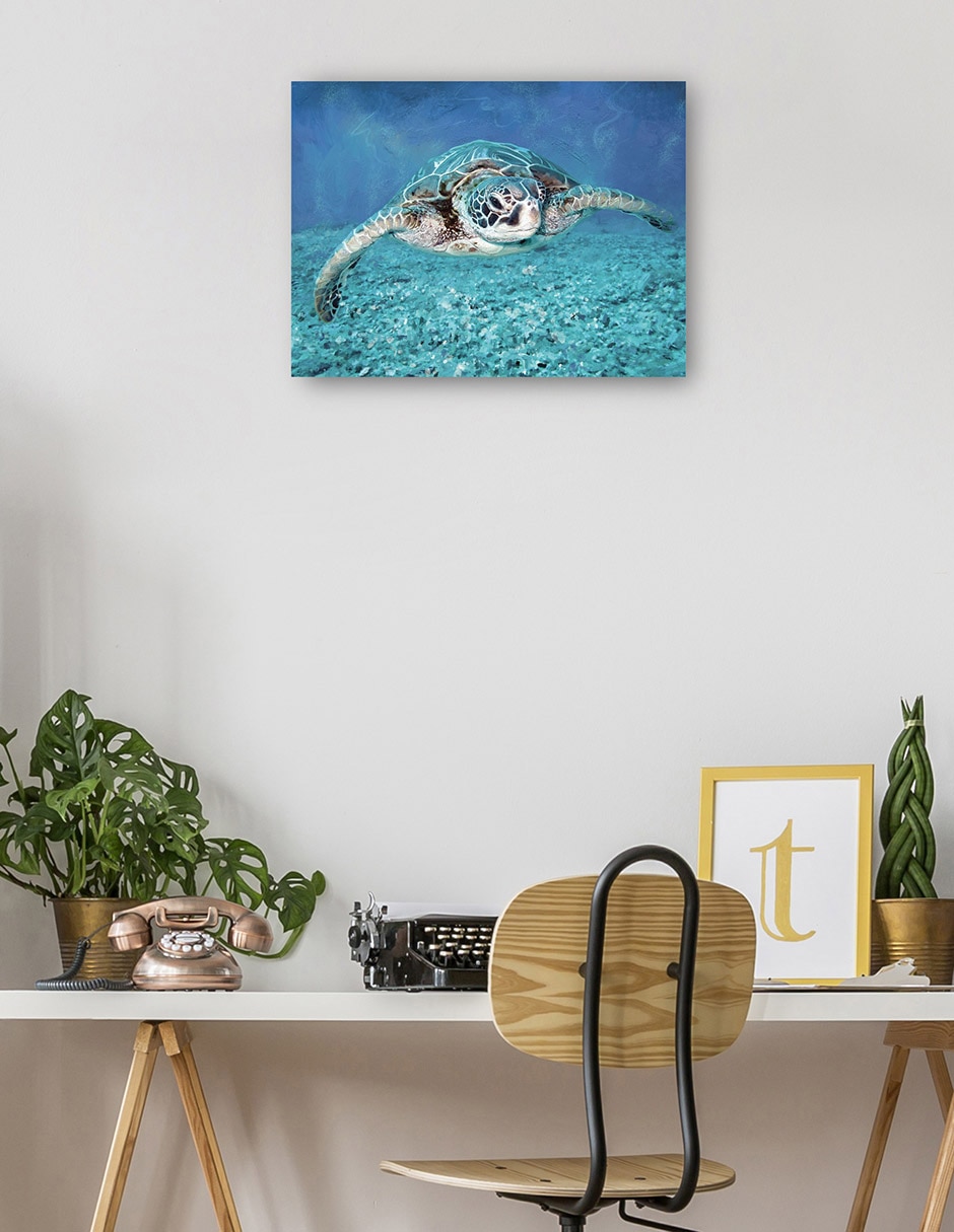 Cuadro decorativo Tortuga marina técnica mixta Animales Marinos 3