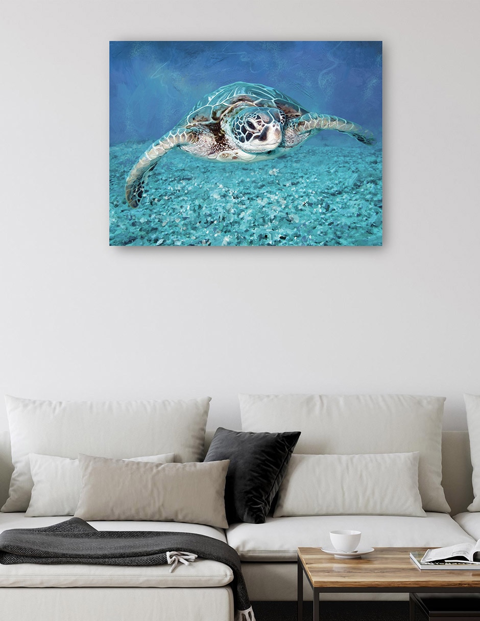Cuadro decorativo Tortuga marina técnica mixta Animales Marinos 5