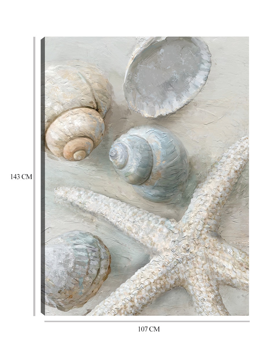 Cuadro decorativo Tesoros técnica mixta Animales Marinos 2
