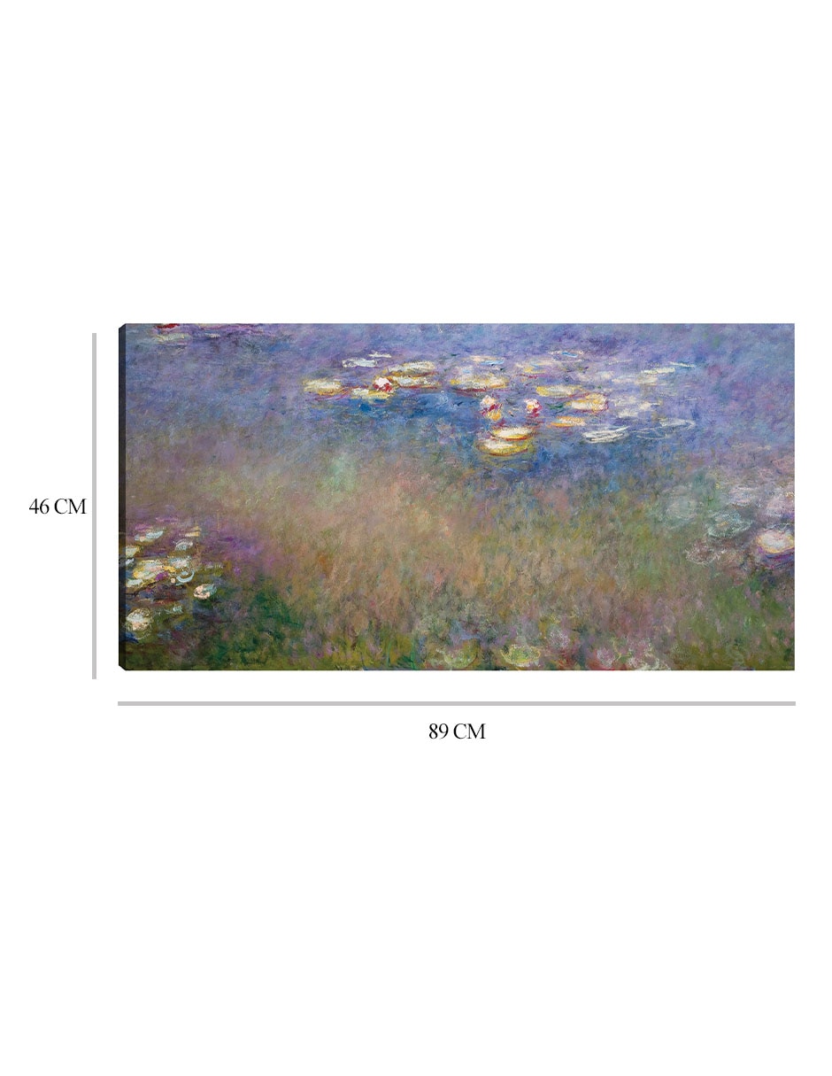 Cuadro decorativo Lirios de agua (c.1915-26) técnica mixta Lagos 8