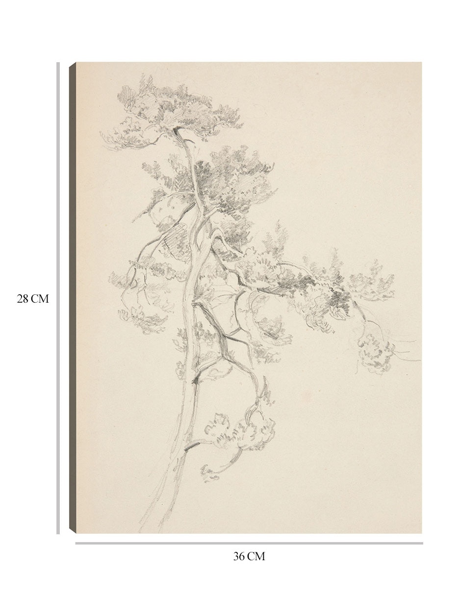 Cuadro decorativo Árbol y follaje técnica mixta Bocetos 2