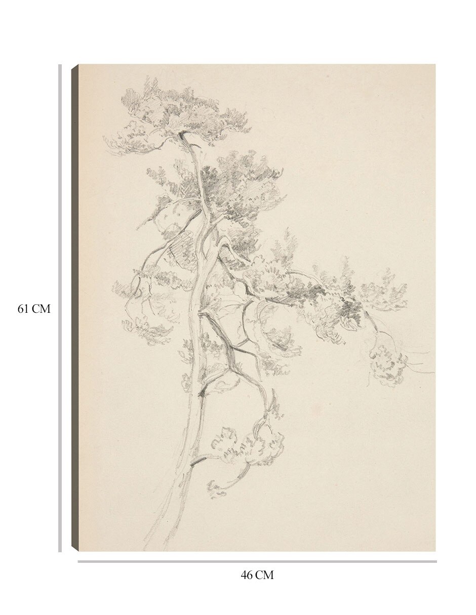 Cuadro decorativo Árbol y follaje técnica mixta Bocetos 7