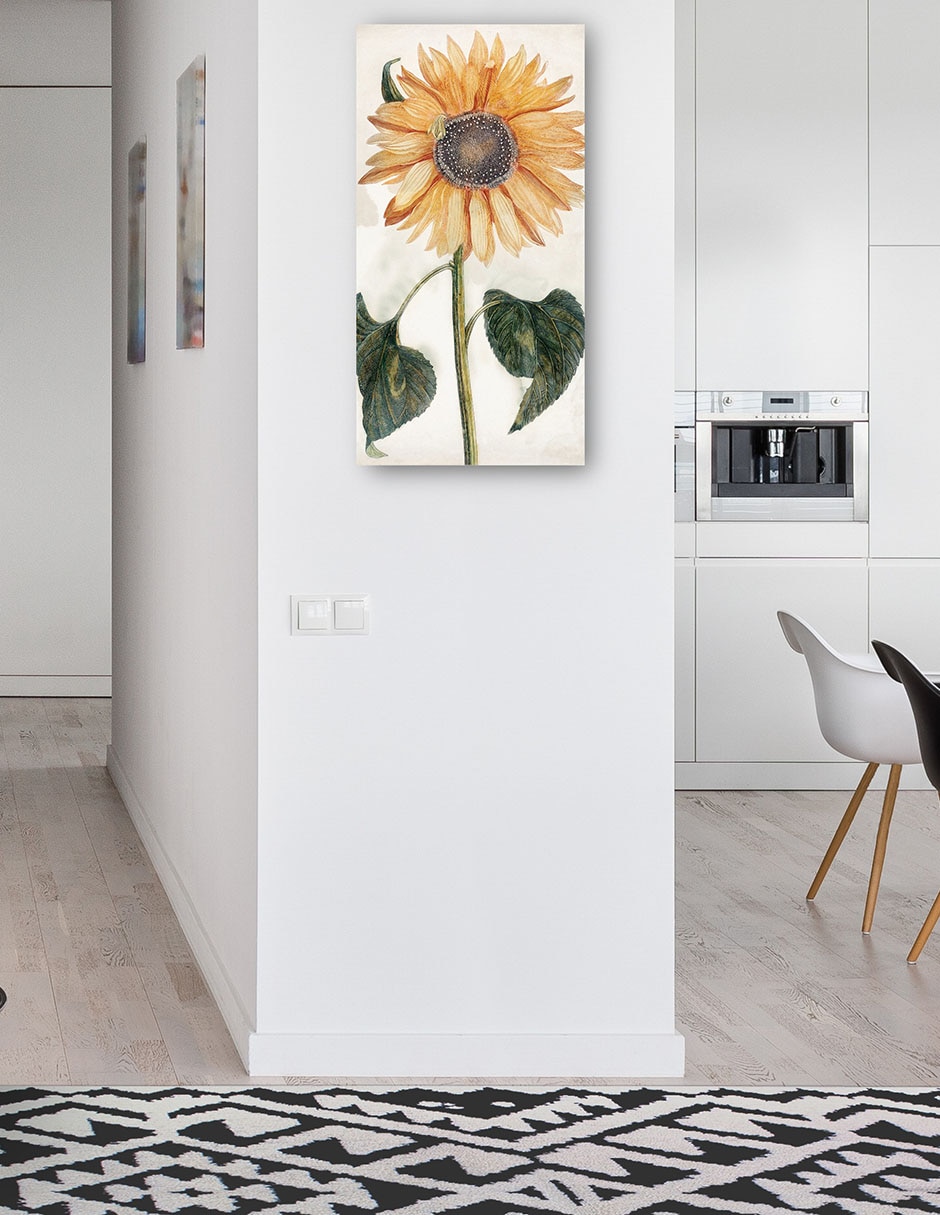Cuadro decorativo Girasol (1688-1698) técnica mixta Girasoles 4