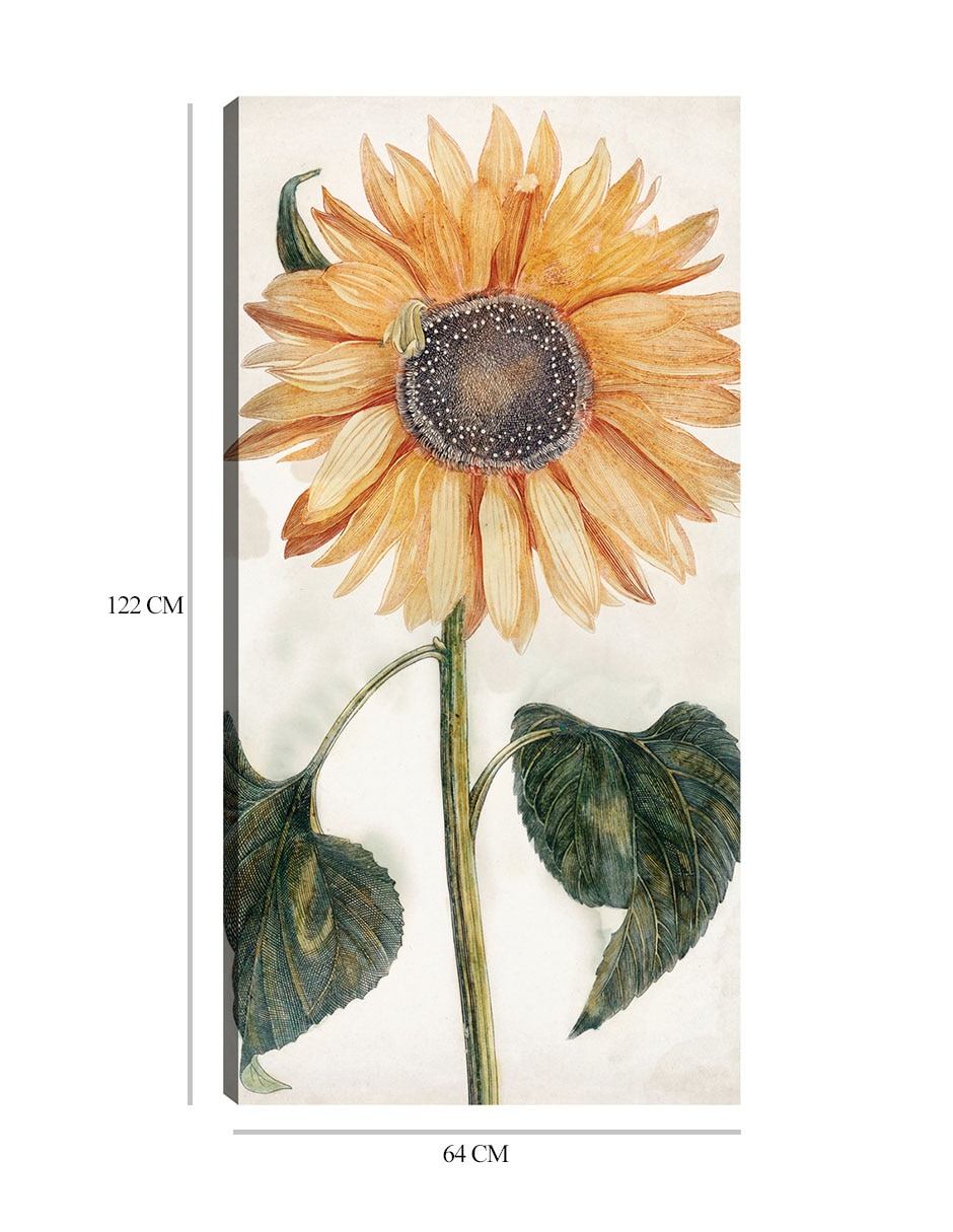 Cuadro decorativo Girasol (1688-1698) técnica mixta Girasoles 2
