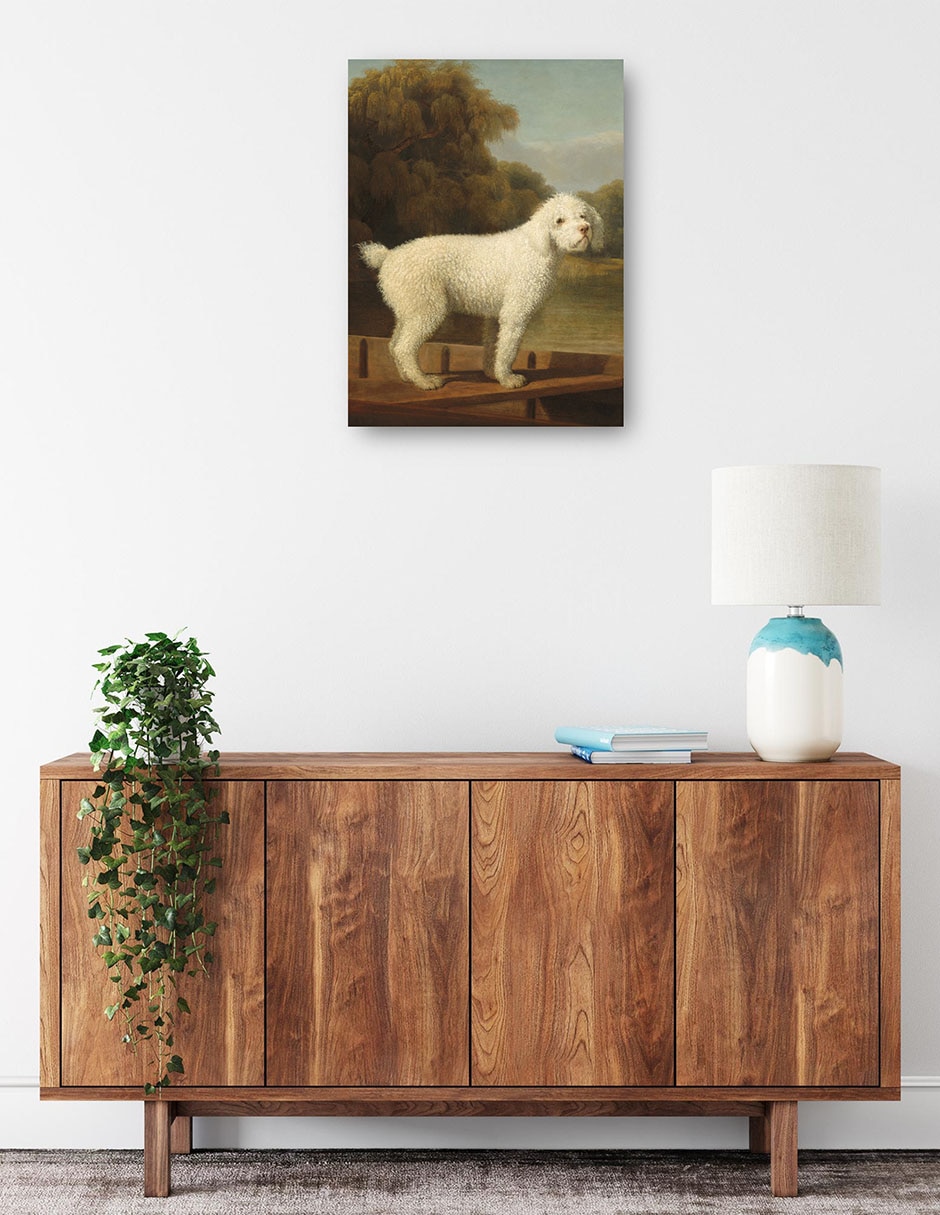 Cuadro decorativo Caniche blanco en una batea, c. 1780 técnica mixta Animales Domésticos 3