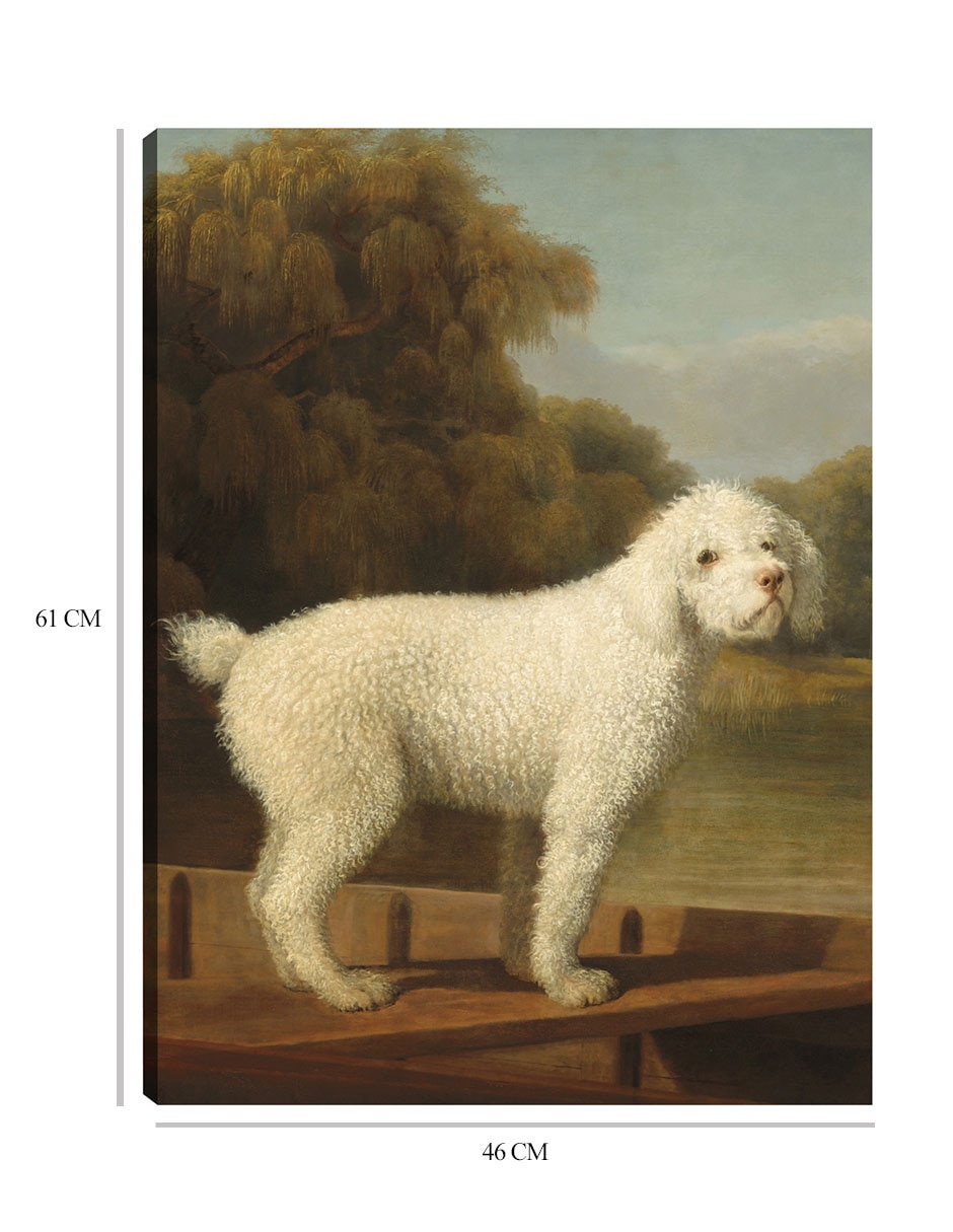 Cuadro decorativo Caniche blanco en una batea, c. 1780 técnica mixta Animales Domésticos 2