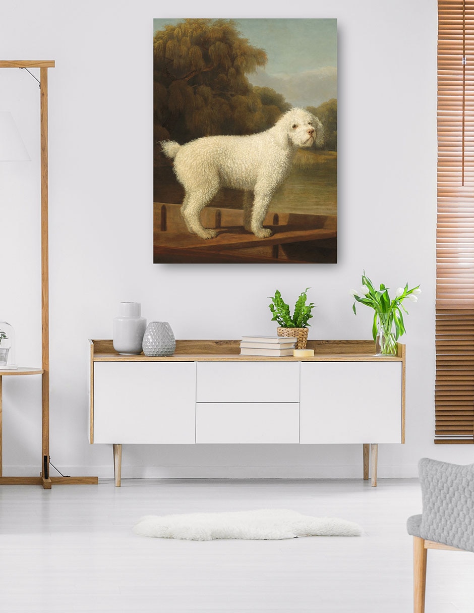 Cuadro decorativo Caniche blanco en una batea, c. 1780 técnica mixta Animales Domésticos 5