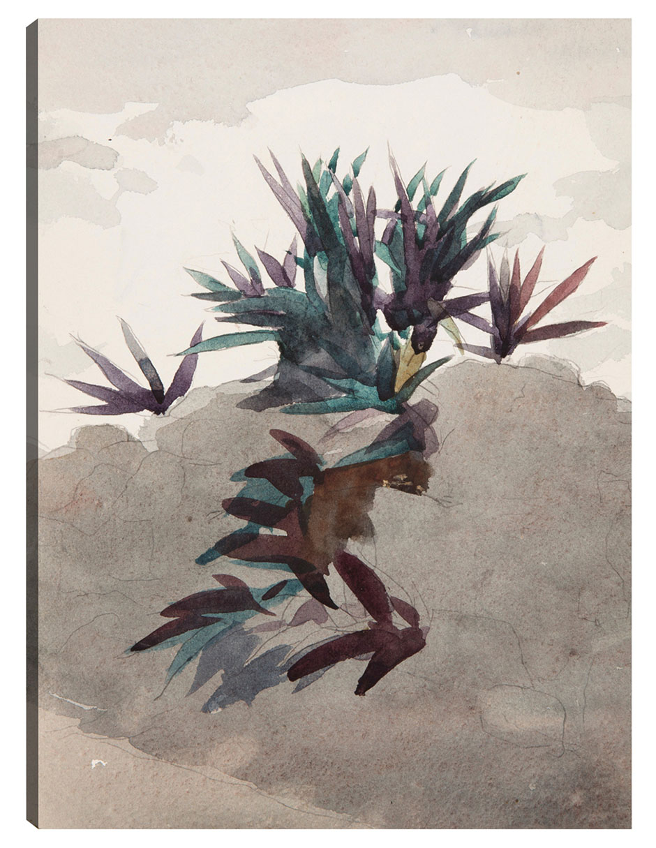 Cuadro decorativo Ladera con macizos de maguey (1898-1899) técnica mixta Formas