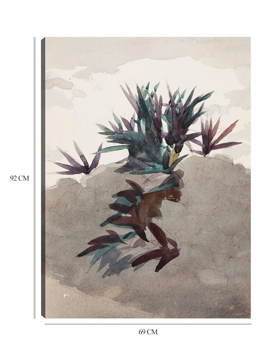 Cuadro decorativo Ladera con macizos de maguey (1898-1899) técnica mixta Formas 2