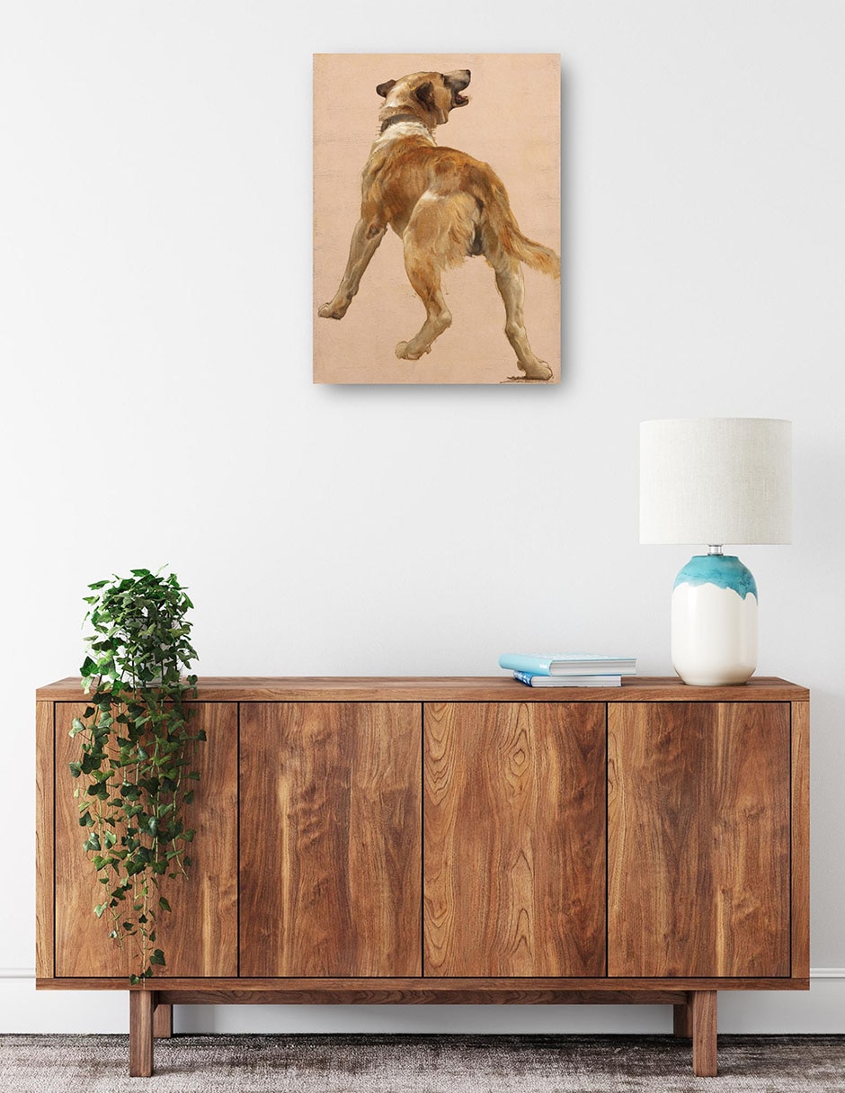 Cuadro decorativo técnica mixta Animales Domésticos 2