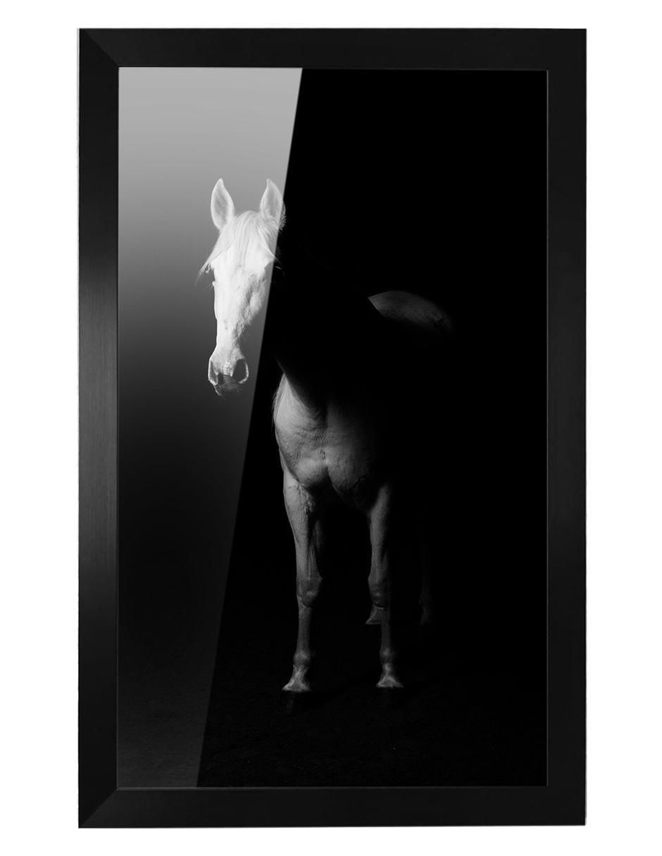 Cuadro decorativo caballo
