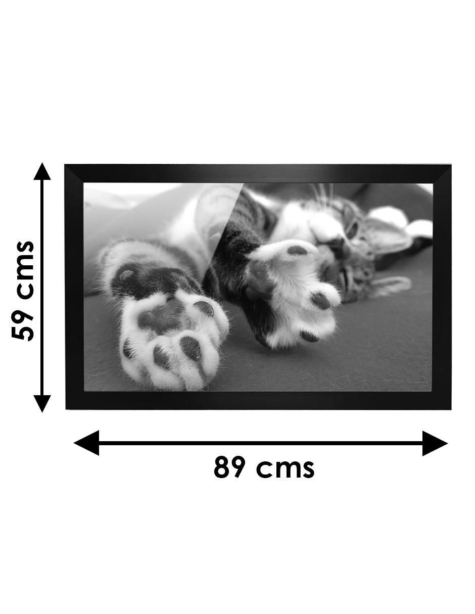 Cuadro decorativo gato 6
