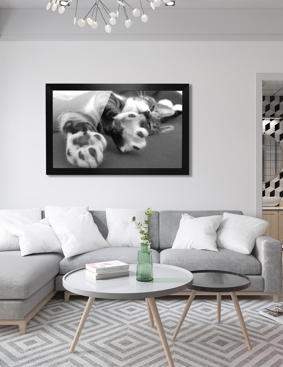 Cuadro decorativo gato 5