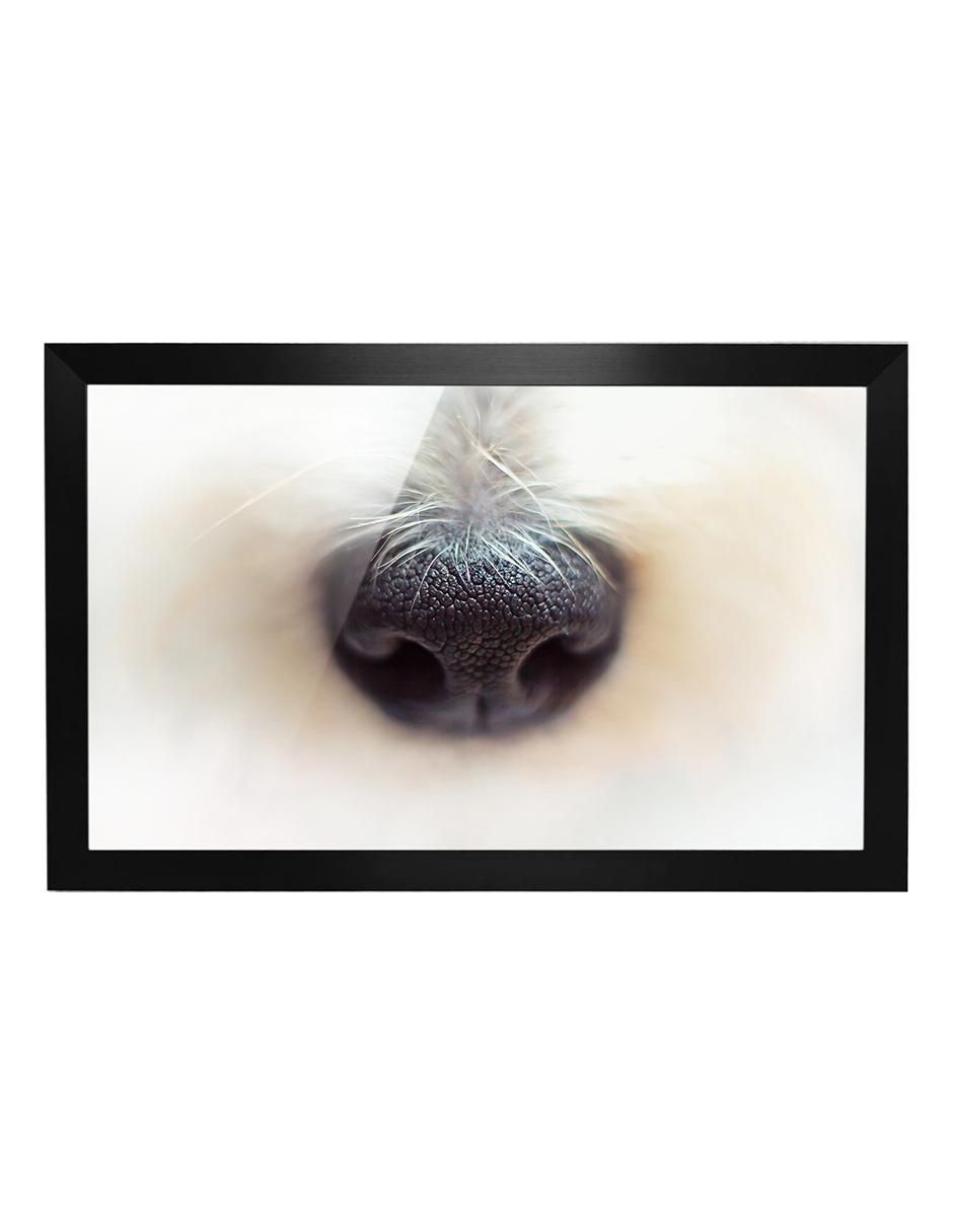 Cuadro decorativo dog