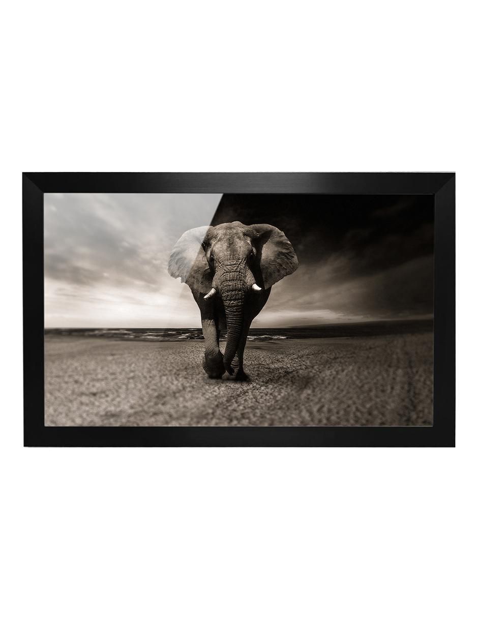 Cuadro decorativo elefante