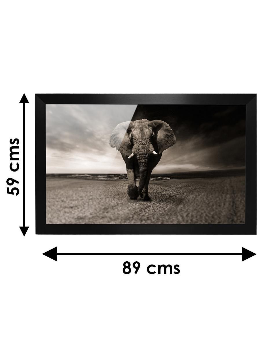 Cuadro decorativo elefante 6
