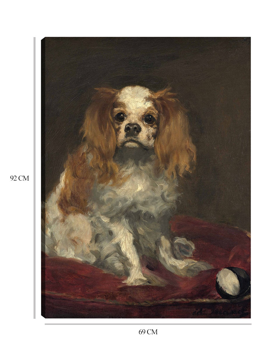 Cuadro decorativo Un rey charles spaniel técnica mixta Animales Domésticos 8