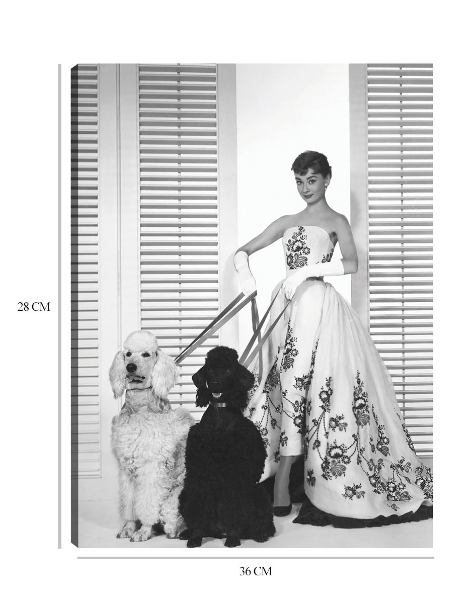 Cuadro decorativo Audrey Hepburn en Sabrina (1954) técnica mixta Retratos 8