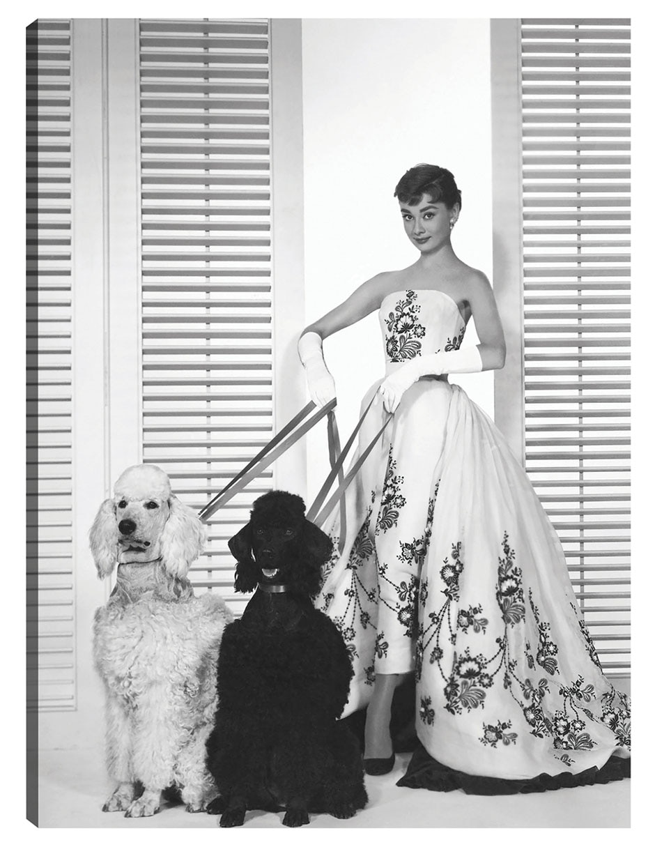 Cuadro decorativo Audrey Hepburn en Sabrina (1954) técnica mixta Retratos