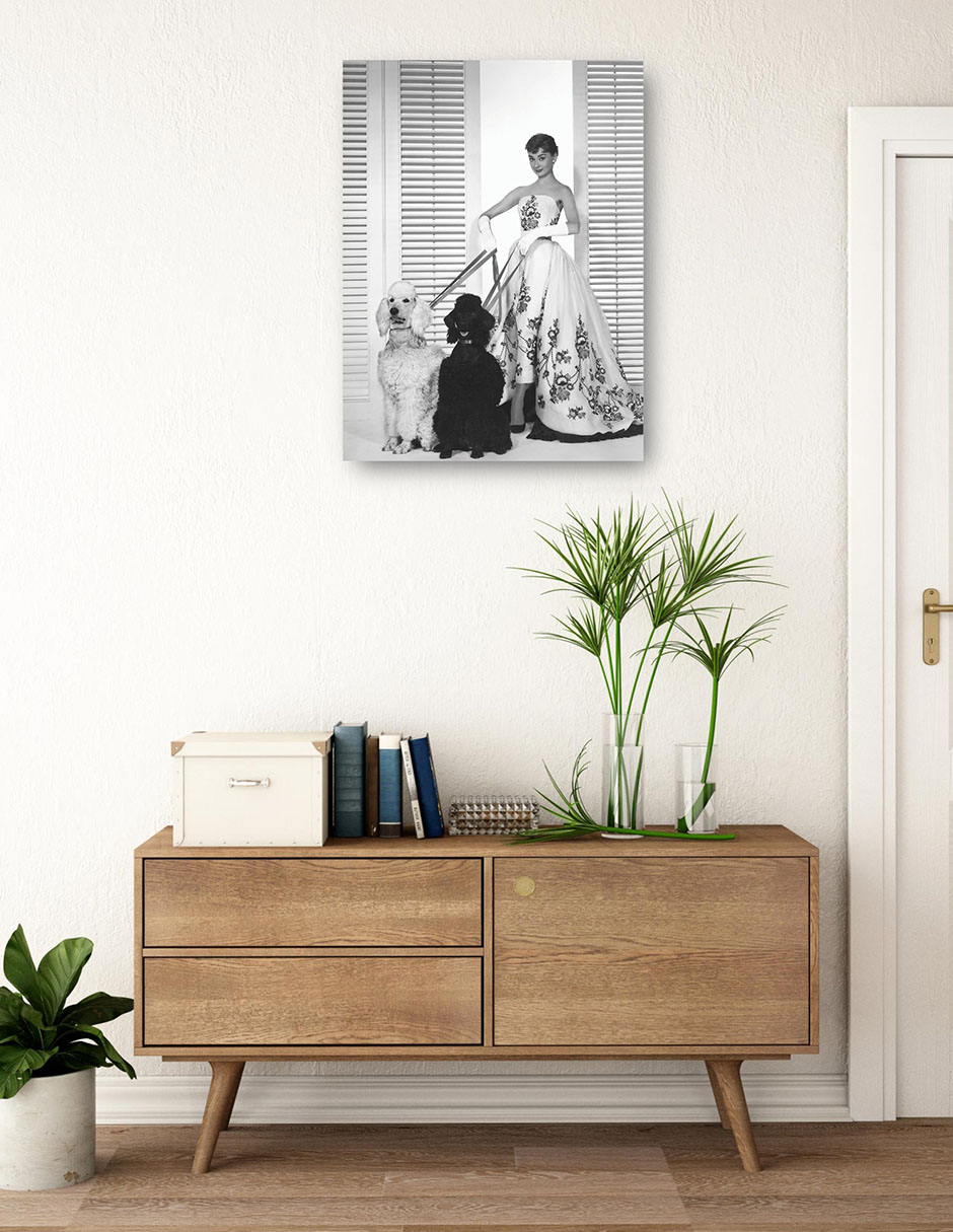 Cuadro decorativo Audrey Hepburn en Sabrina (1954) técnica mixta Retratos 3