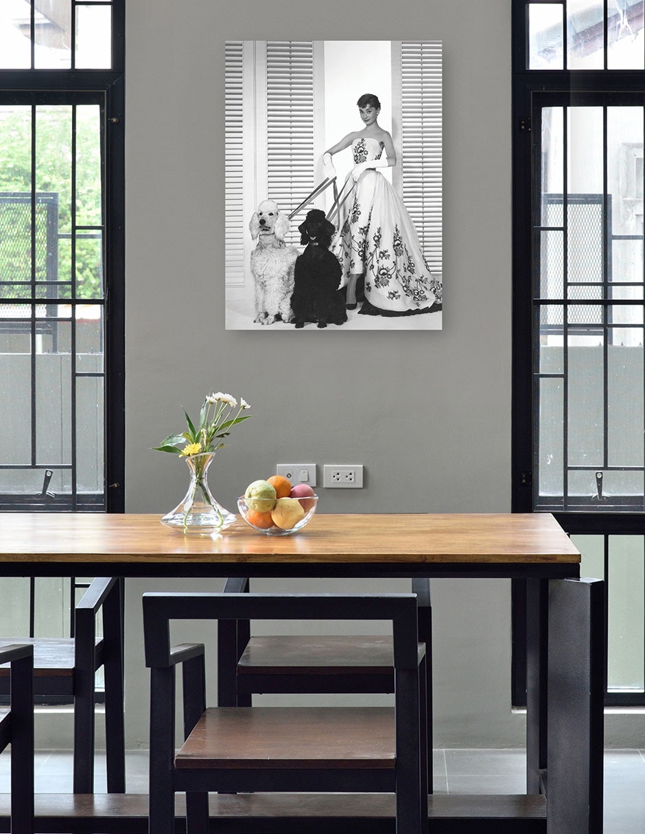 Cuadro decorativo Audrey Hepburn en Sabrina (1954) técnica mixta Retratos 4
