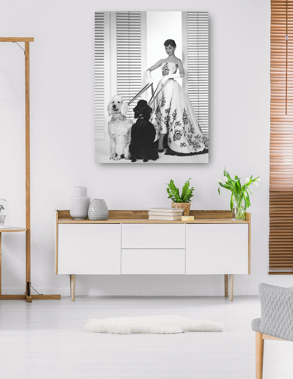 Cuadro decorativo Audrey Hepburn en Sabrina (1954) técnica mixta Retratos 5