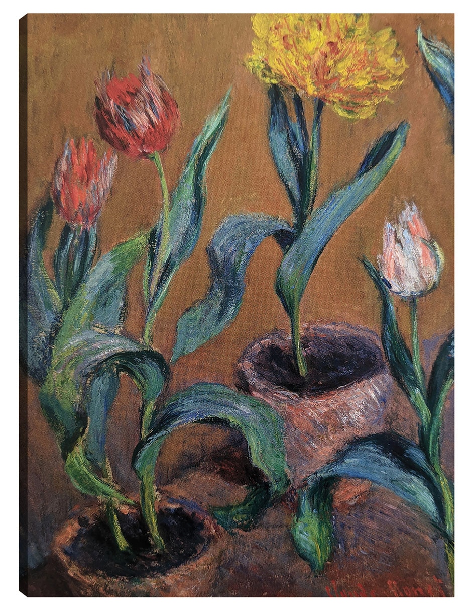 Cuadro decorativo Tulipanes técnica mixta Floración Cuadro decorativo Tulipanes técnica mixta Floración