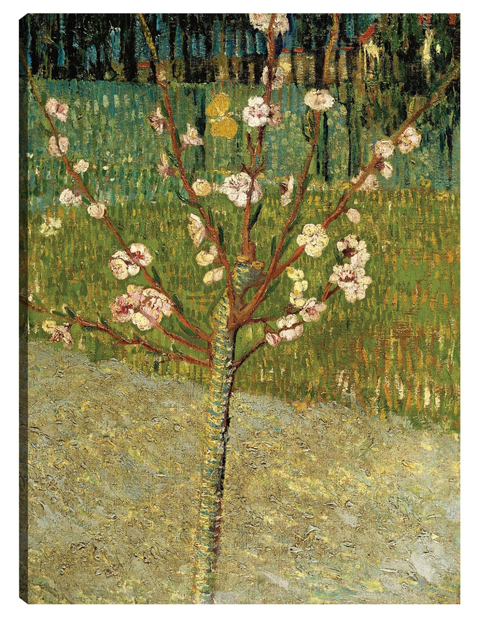 Cuadro decorativo Almendro en flor técnica mixta Floración
