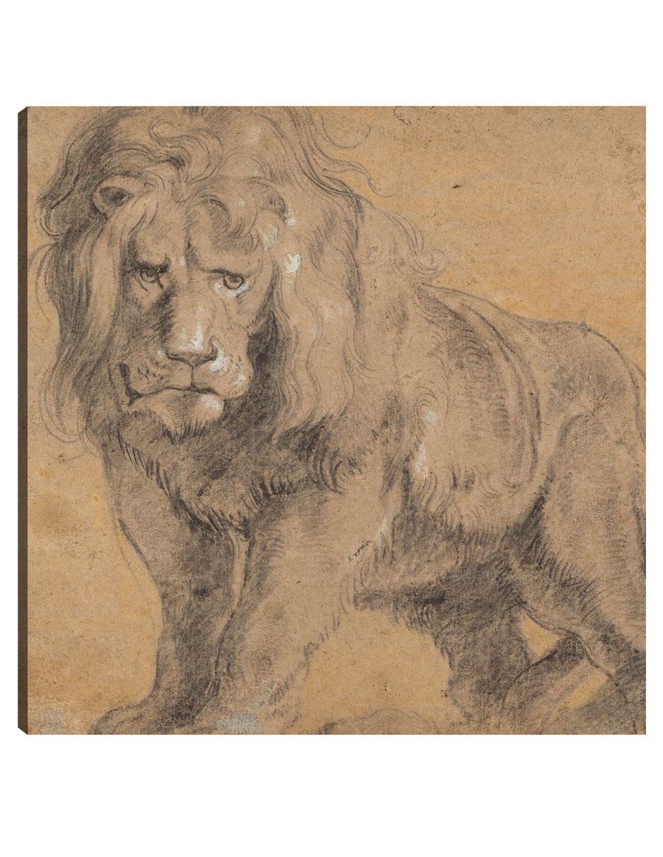 Cuadro decorativo León (c. 1612-1613) técnica mixta Bocetos