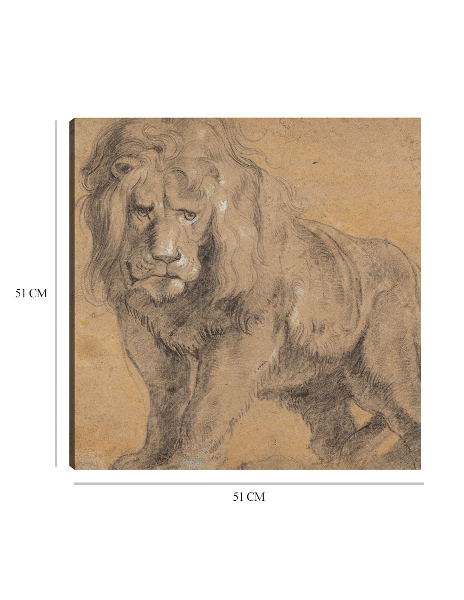 Cuadro decorativo León (c. 1612-1613) técnica mixta Bocetos 8