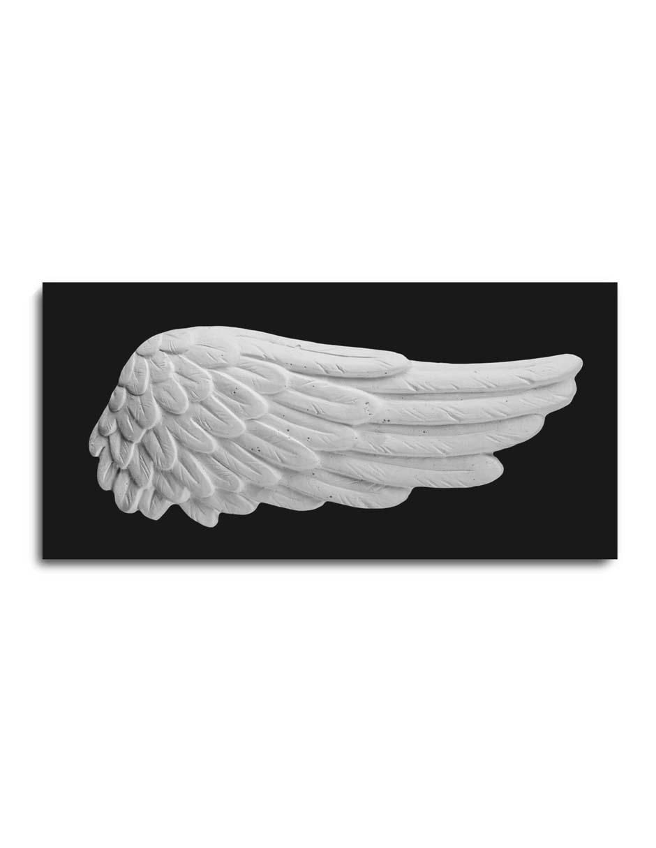 Cuadro decorativo canvas art ala de yeso blanca con barniz a registro