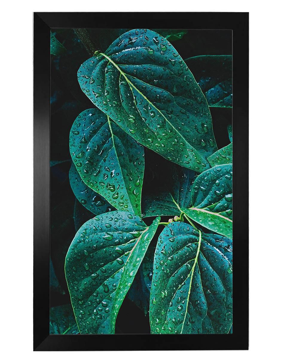 Cuadro decorativo leave Cuadro decorativo leave