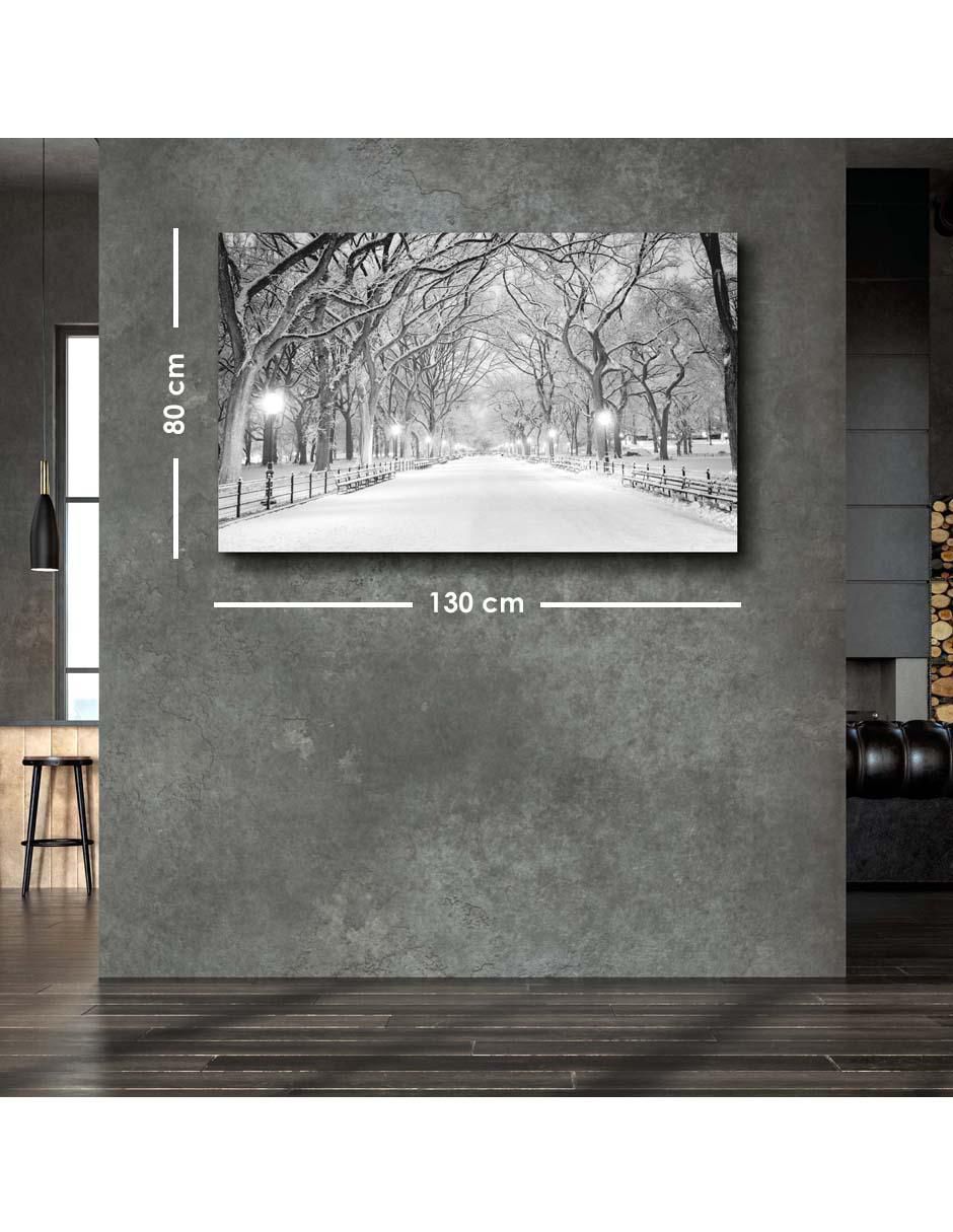 Cuadro decorativo Central park nyc con barniz a registro 6