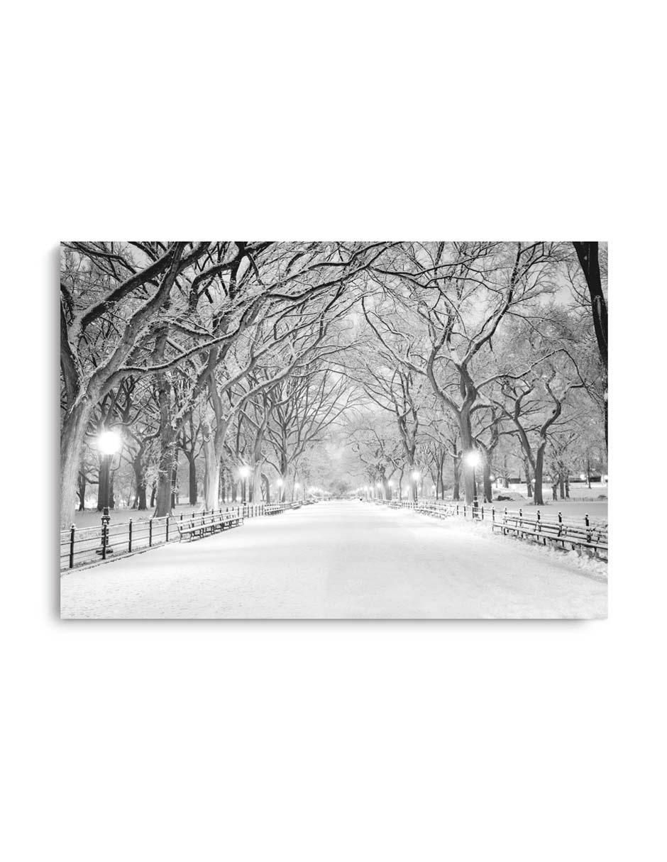 Cuadro decorativo Central park nyc con barniz a registro Cuadro decorativo Central park nyc con barniz a registro