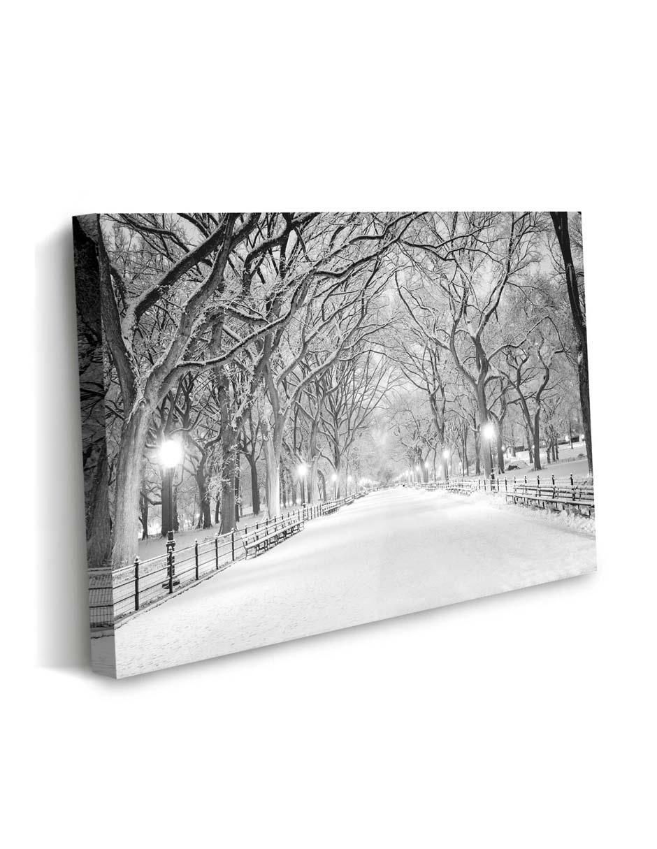 Cuadro decorativo Central park nyc con barniz a registro 2