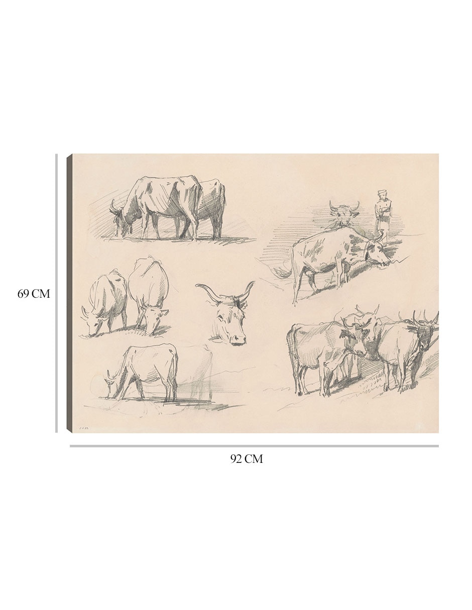 Cuadro decorativo Estudios de ganado (c. 1872) técnica mixta Bocetos 8