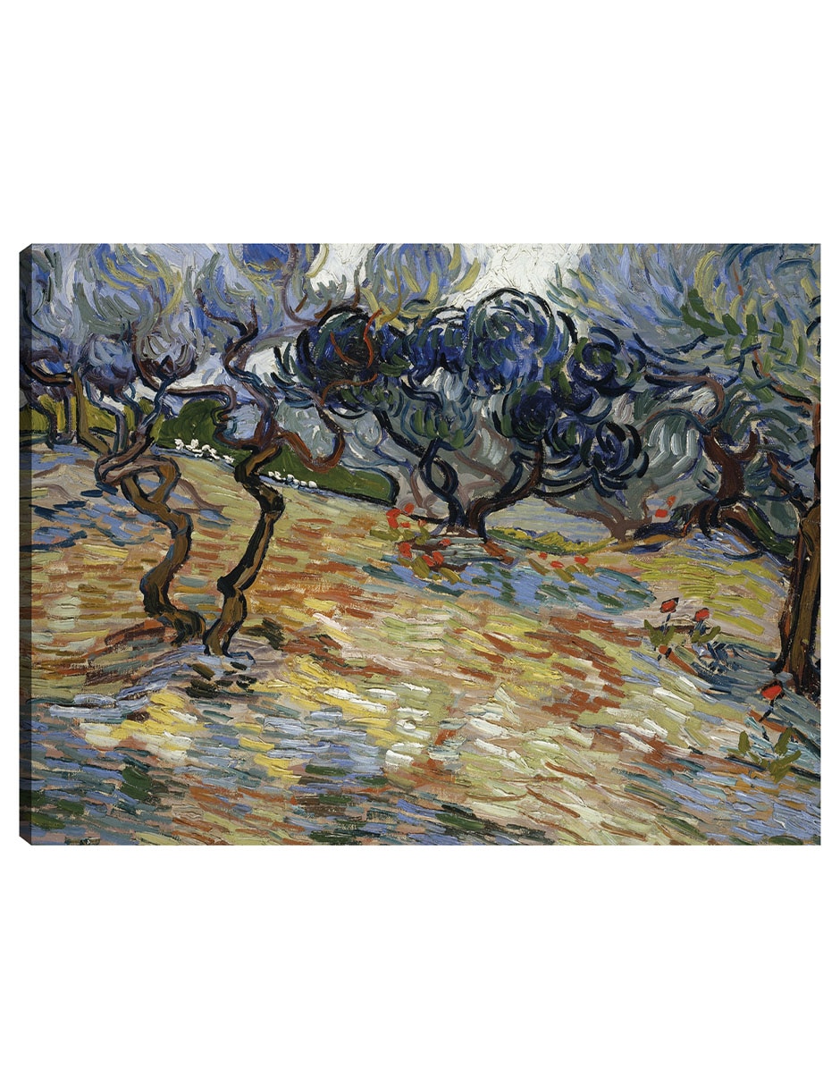 Cuadro decorativo Olivos técnica mixta Campos Cuadro decorativo Olivos técnica mixta Campos