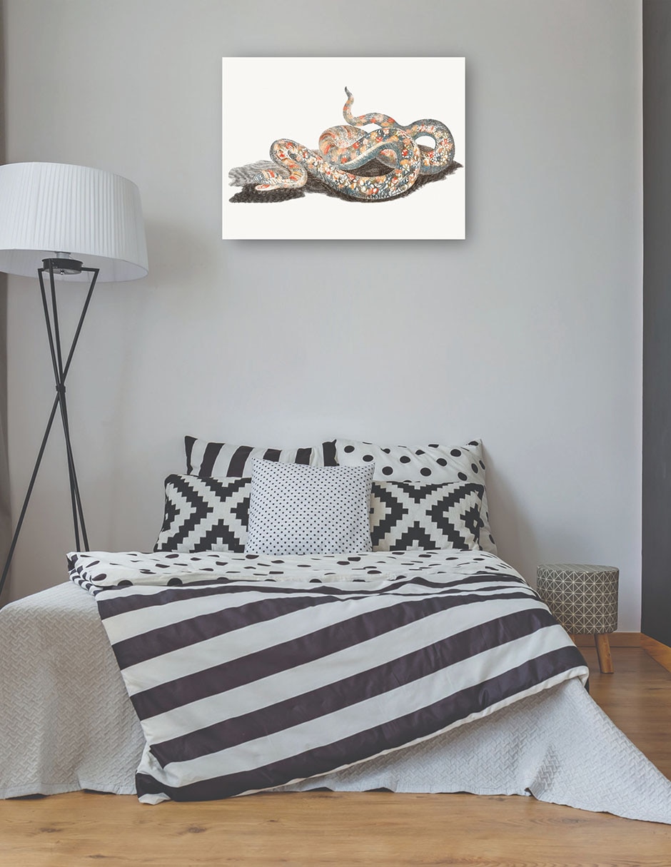 Cuadro decorativo Una serpiente técnica mixta Reptiles 3
