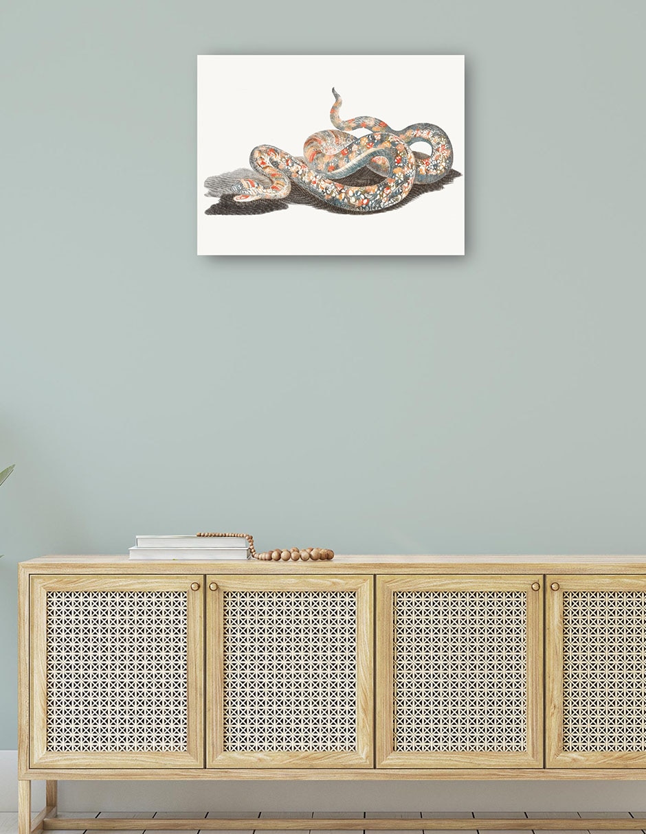 Cuadro decorativo Una serpiente técnica mixta Reptiles 4