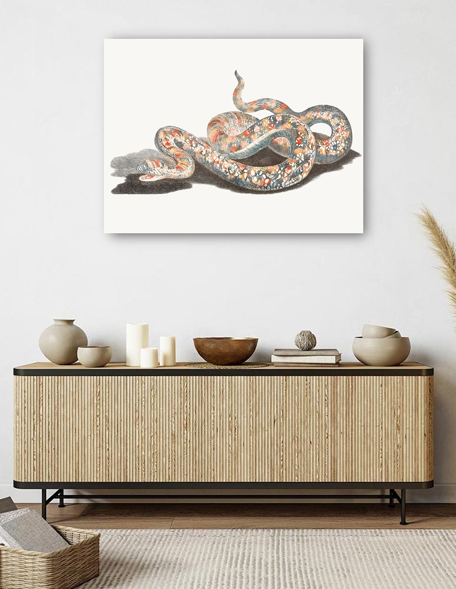Cuadro decorativo Una serpiente técnica mixta Reptiles 5