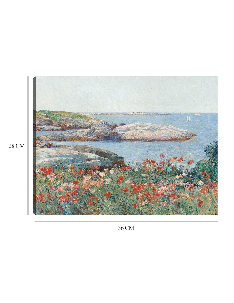 Cuadro decorativo Amapolas, Isles of Shoals, 1891 técnica mixta Islotes 3