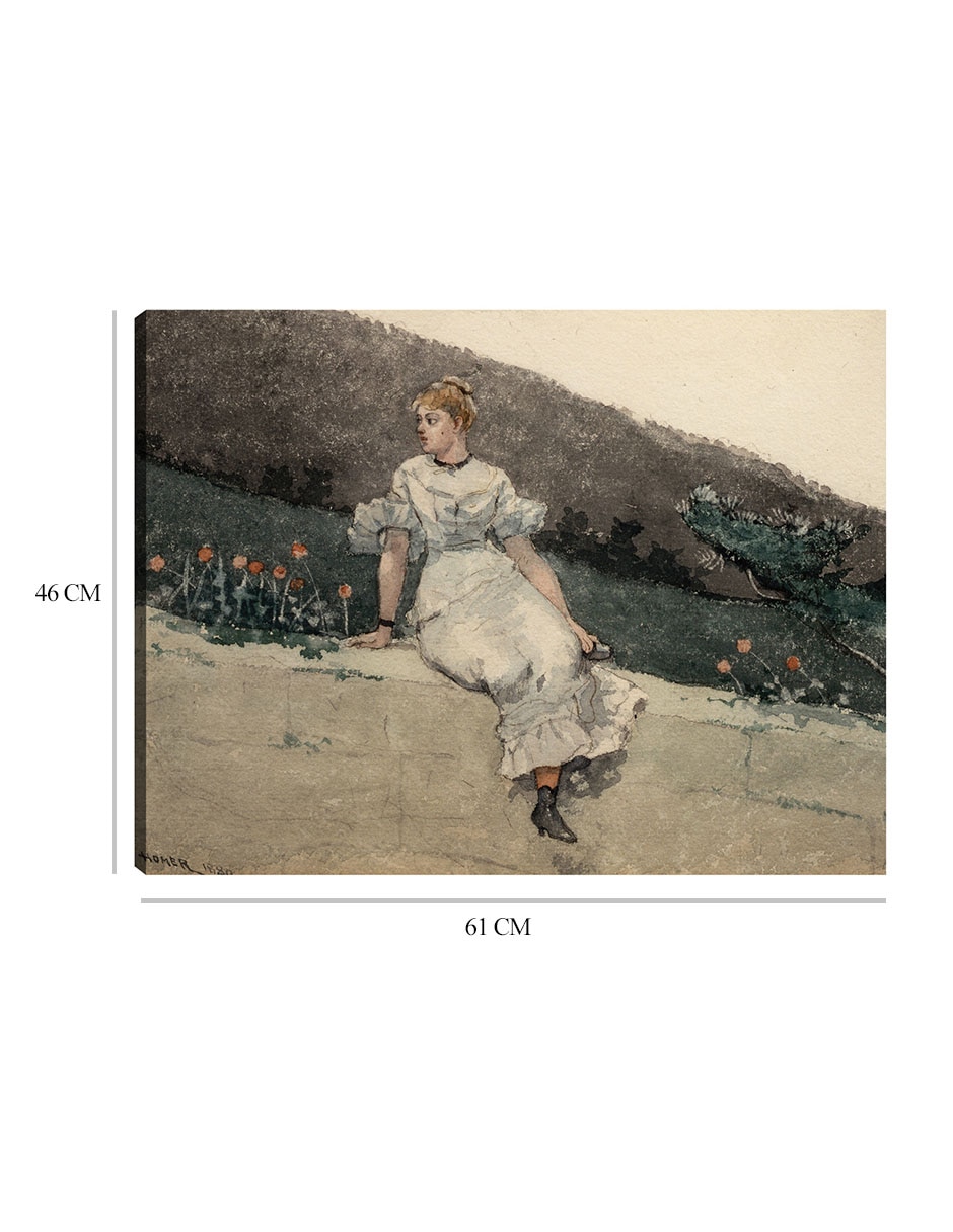 Cuadro decorativo El muro del jardín (1880) técnica mixta Campos 8