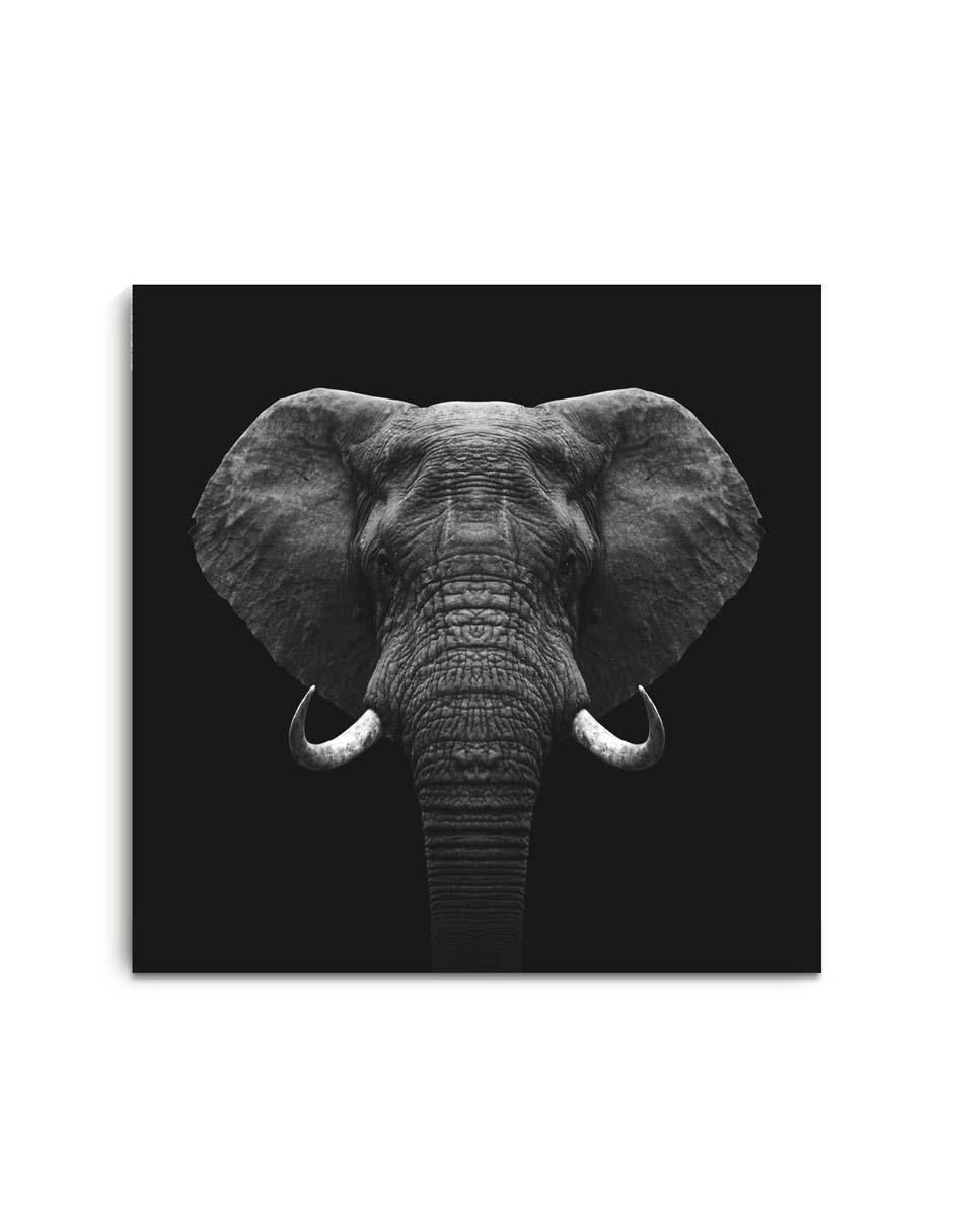 Cuadro decorativo Elefante con barniz a registro Cuadro decorativo Elefante con barniz a registro