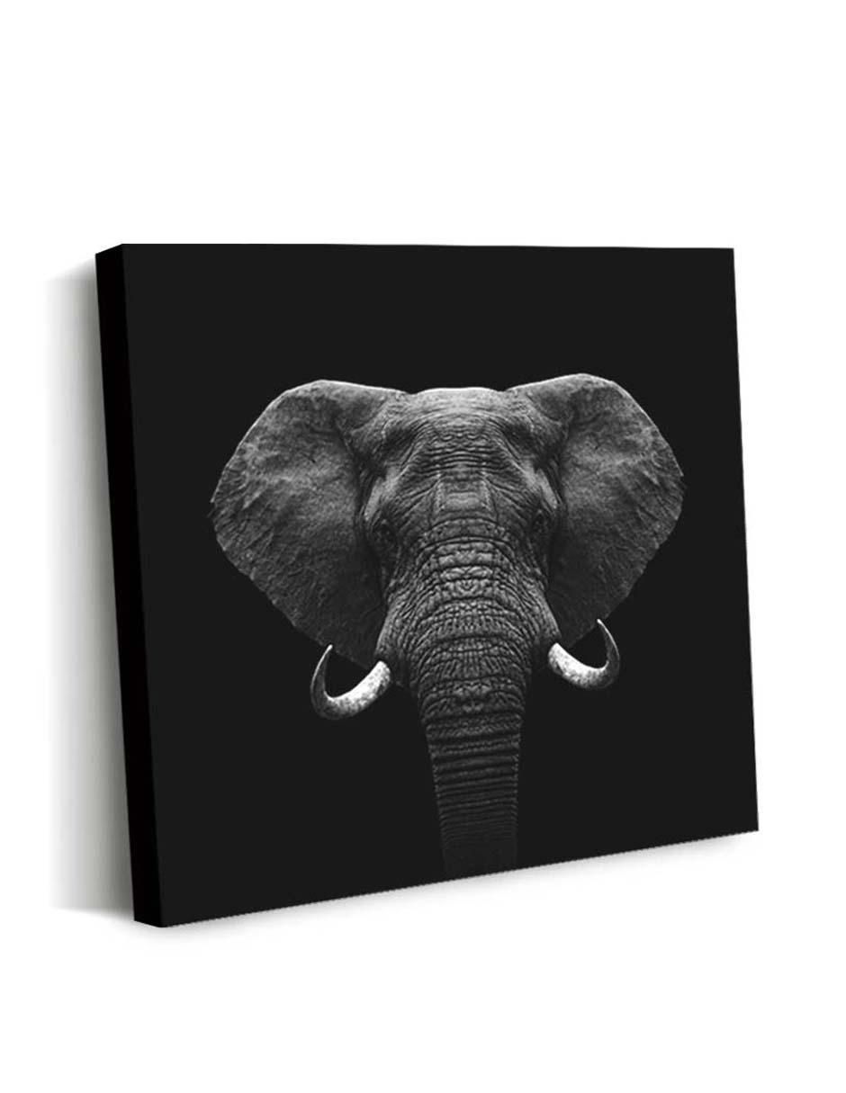 Cuadro decorativo Elefante con barniz a registro 2