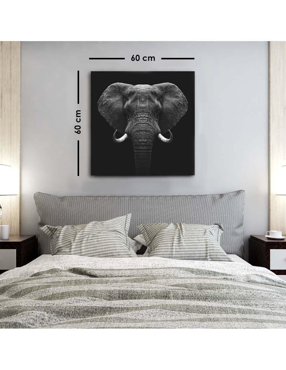 Cuadro decorativo Elefante con barniz a registro 6