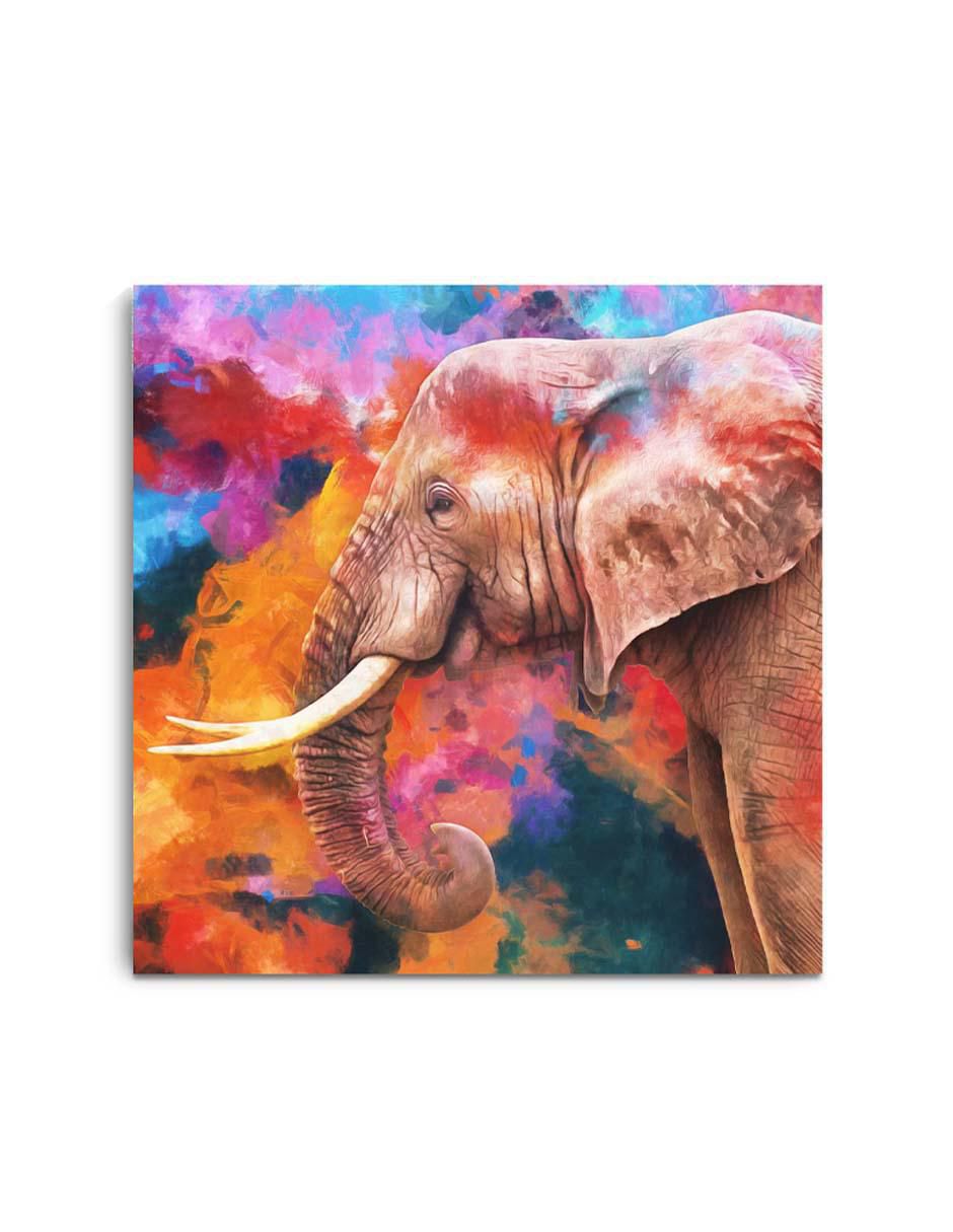 Cuadro decorativo Rústica elefante colorido con barniz a registro