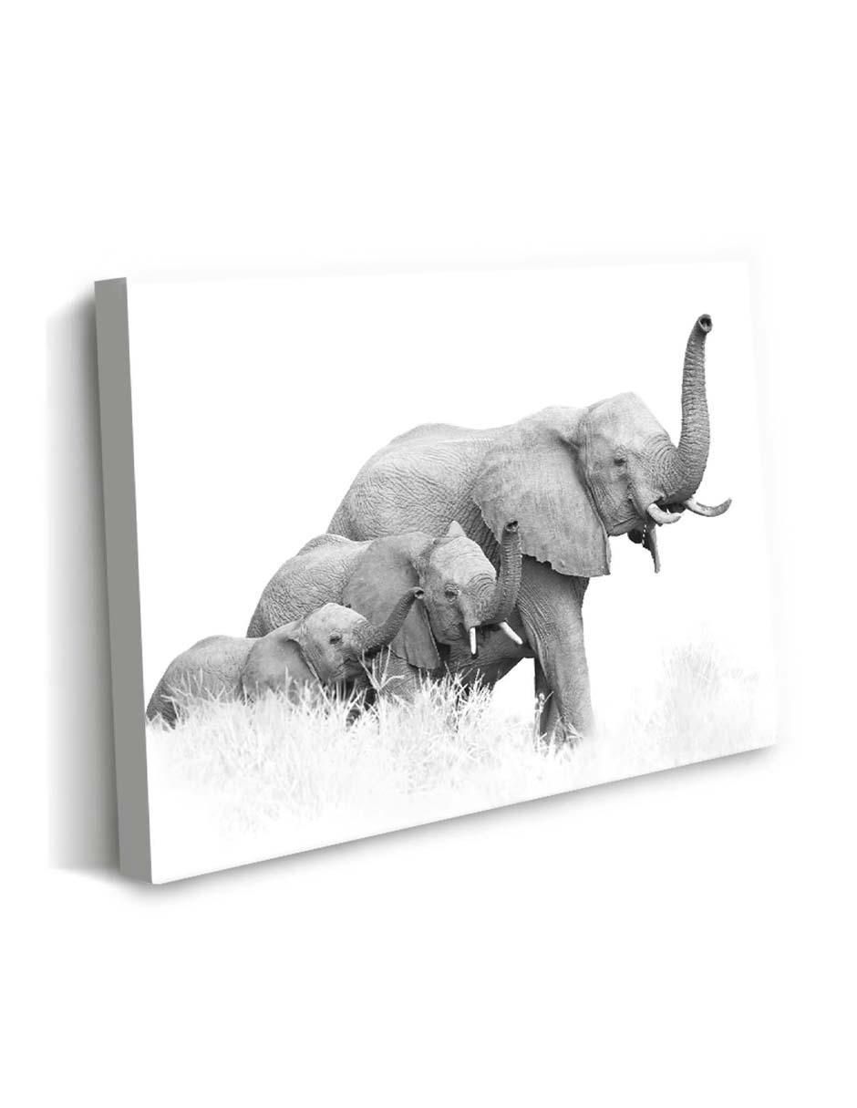 Cuadro decorativo Tres elefantes africanos de Bush con barniz a registro 2