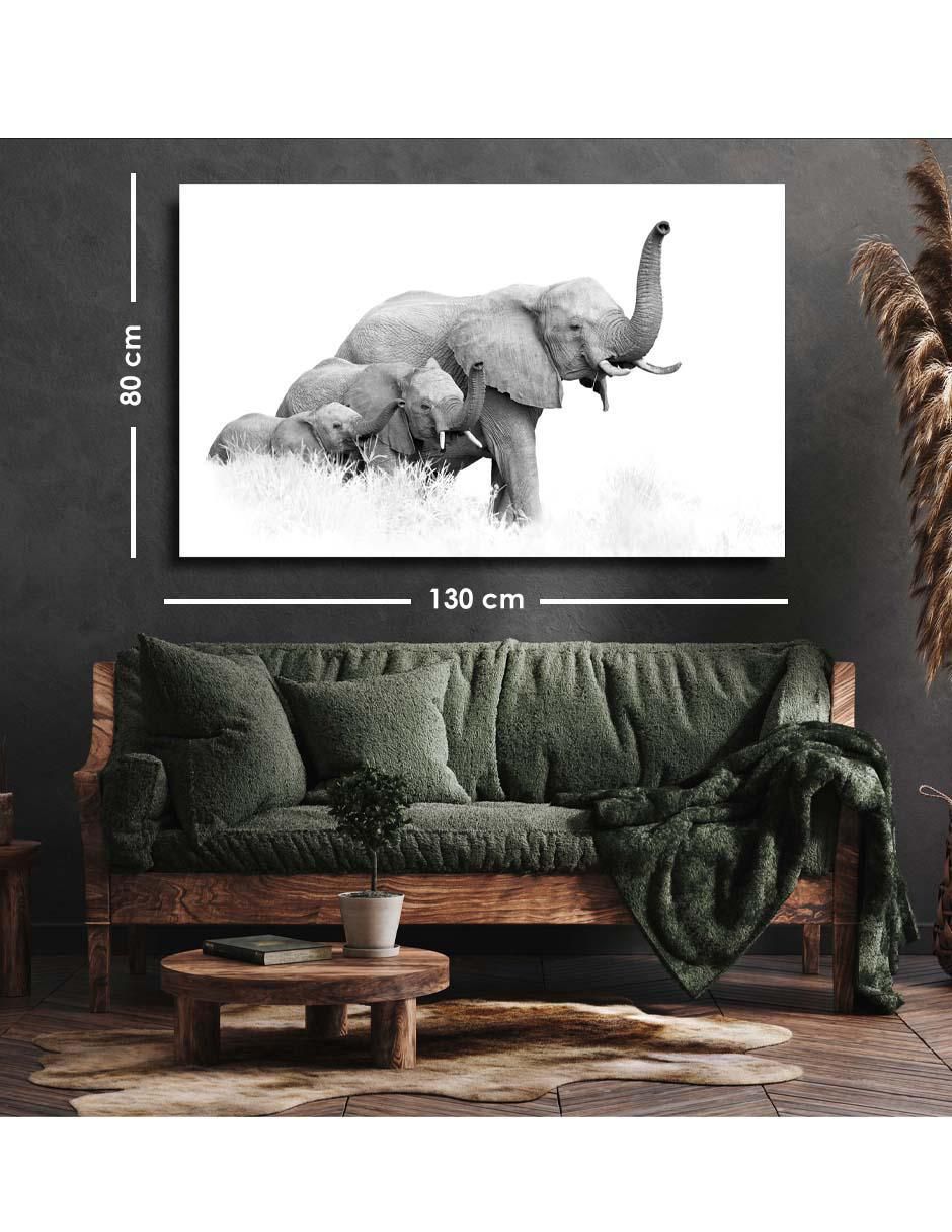 Cuadro decorativo Tres elefantes africanos de Bush con barniz a registro 5