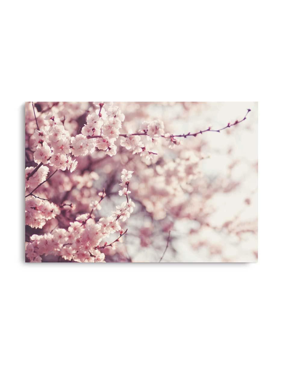 Cuadro decorativo Flores de cerezo en primavera con barniz a registro