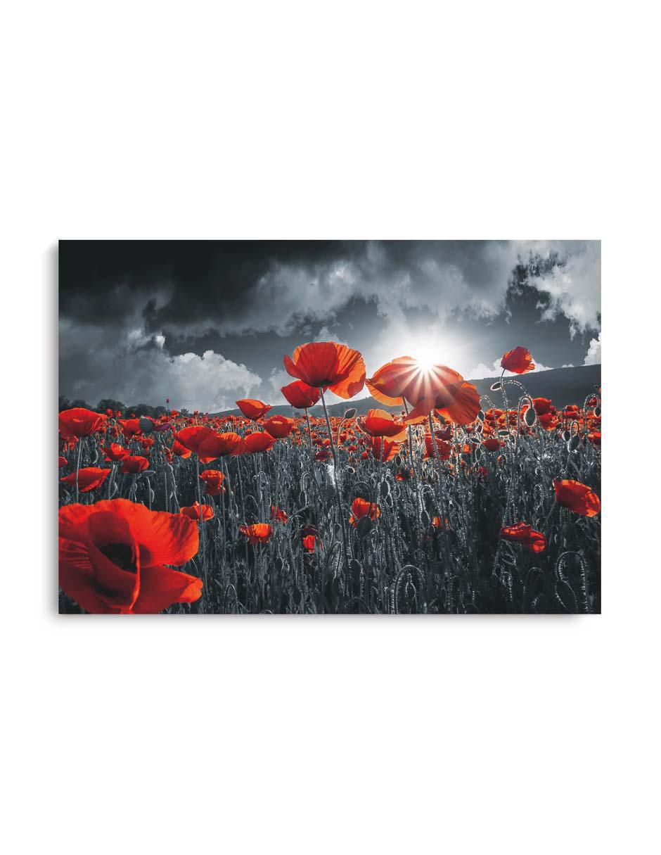 Cuadro decorativo Canvas nubes obscuras con barniz a registro 130x80